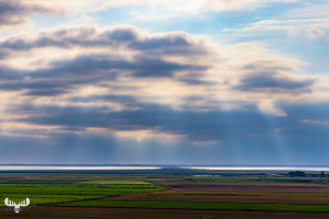 12531 - Ladnscape with fields seen from Marsk tårnet - Marsk To