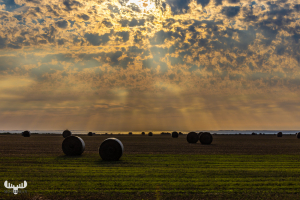 12546 -  Straw bales and sunset with cloudy sky