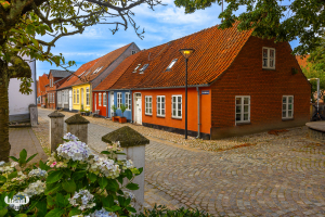 12563 - Tønder colorful street houses