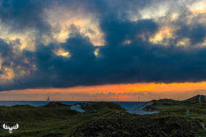12574 - Nr.Lyngvig coastline at sunset, wind turbines