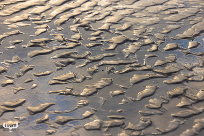 12600 - Sand and North Sea - Structures at Løkken beach