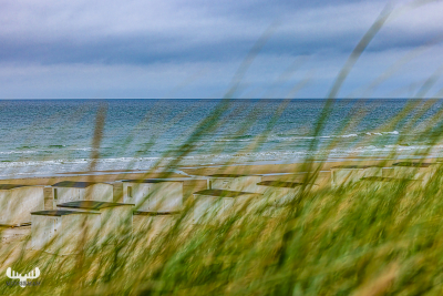 12621 - Løkken white beach houses behind beach grass