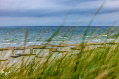 12621 - Løkken white beach houses behind beach grass