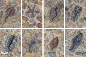 12632 - Løkken sidewalk maritime stone decorations - collage