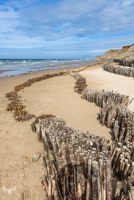 12639 - Lyngvby Strand wave protection