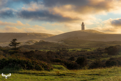 12667 - Rubjerg Knude Fyr ligthouse at sunset with dune and landscape