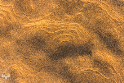 12680 - Sand structures made by wind at Rubjerg Knude Fyr ligthouse