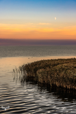 12710 - Ringkøbing Fjord sunset with moon and wind turbines