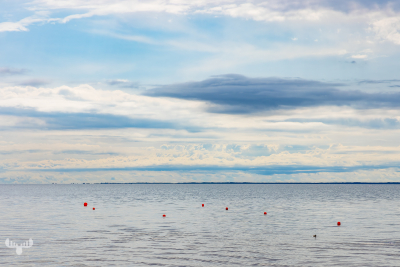 12738 - Ringkøbing Fjord width with red buoys