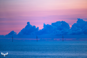 12802 - Offshore wind turbines in Nortsea, pastel colored sunset
