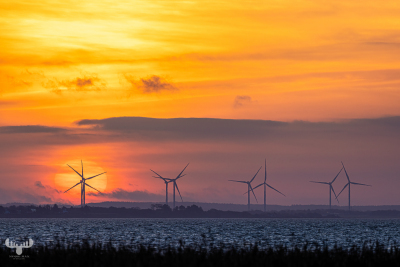 12838 - Sunrise over Ringkøbing Fjord behind wind turbines