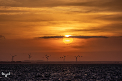 12845 - Sunrise over Ringkøbing Fjord with wind turbines
