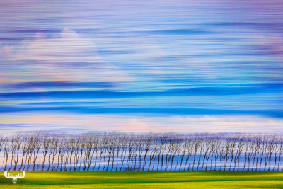 11831_2 - Moving waves and tree row - art version