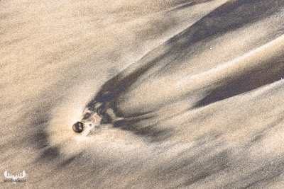 12885 - Sand Comet - Sand Strcutures and stone at Nr.Lyngvig beach