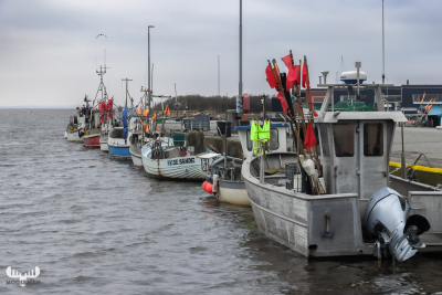 12888 - Fishing boat in Tyskerhavn harbour