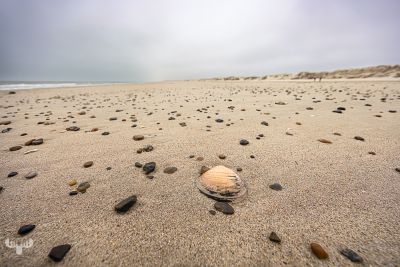12902 - Wide beach with seashell at Skalling
