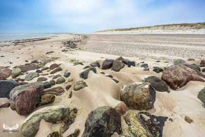 12915 - Pebbles at wide Skallingen beach view