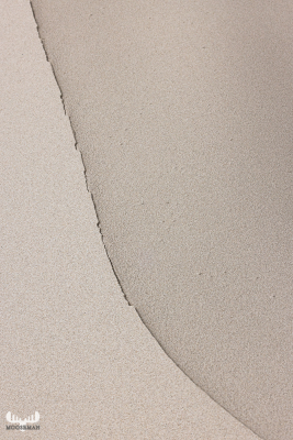 12917 - Sand line and structure at Skallingen beach