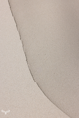 12917 - Sand line and structure at Skallingen beach