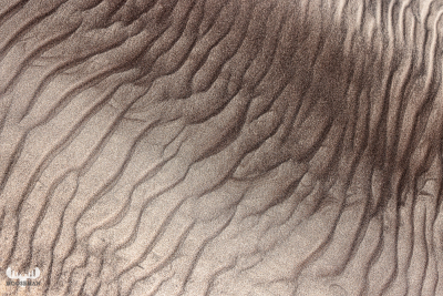 12923 - Diagonal sand structures at Skallingen beach