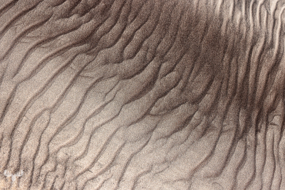 12923 - Diagonal sand structures at Skallingen beach