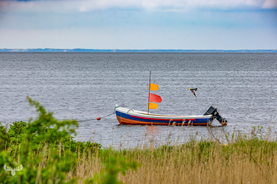 12958 - Boat with red-orange flags in Ringkøbing Fjord