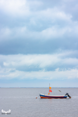 12961 - Small boat with orange-red flages in Ringkøbing Fjord