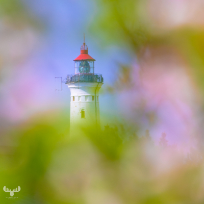 12966 - Nr.Lyngvig Fyr lighthouse seen through a blurred apple tree