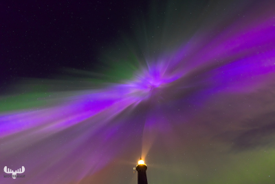 12972 - Nr.Lyngvig Fyr lighthouse under northern lights rays