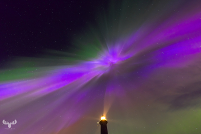 12972 - Nr.Lyngvig Fyr lighthouse under northern lights rays