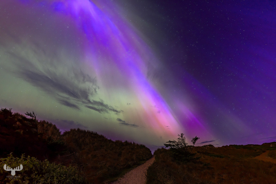 12975 - Northern lights at Nr.Lyngvig lamdscape