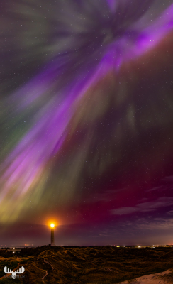 12985 - Nr.Lyngvig Fyr lighthouse and dunes with Northern lights