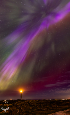 12985 - Nr.Lyngvig Fyr lighthouse and dunes with Northern lights