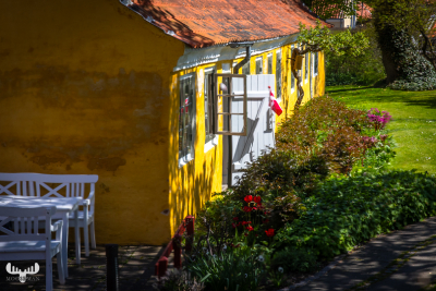 12998 - Skagen yellow house