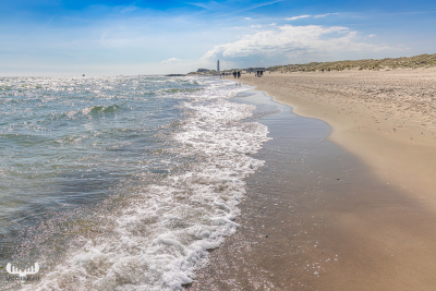 13000 - Grenen beach at Skagen Odde with det Grå Fyr lighthouse