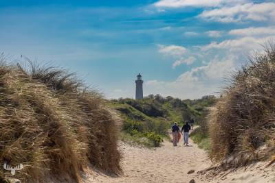 13001 - Det Grå Fyr lighthouse seen from Grenen beach