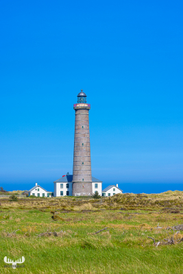 13006 -  - Det Grå Fyr lighthouse with meadow and blue sky