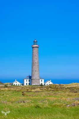 13006 -  - Det Grå Fyr lighthouse with meadow and blue sky