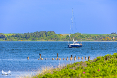 13029 - Sailing boat and wood poles in Limfjord