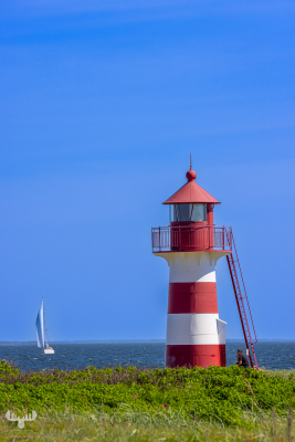 13033 - Grisetåodde Fyr lighthouse and sailing boat on Limfjord