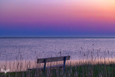 13053 - Stauning Havn, Ringkøbing Fjord with bench at sunset colors