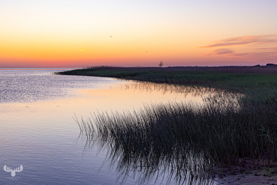 13054 - Sunset over Ringkøbing Fjord at Stauning Havn