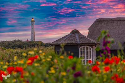13098 - Nr.Lyngvig Fyr lighthouse and summer cottages at sunset