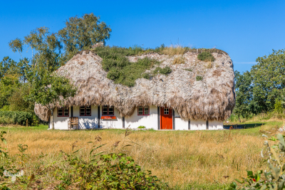 13282 - Tanghuse - Seaweed roof house