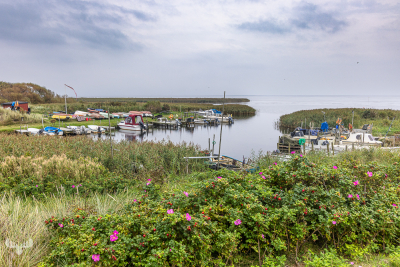 13324 - Vinterleje harbor