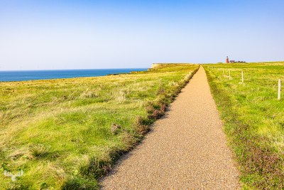 13327 - Road to Bovbjerg Fyr lighthouse