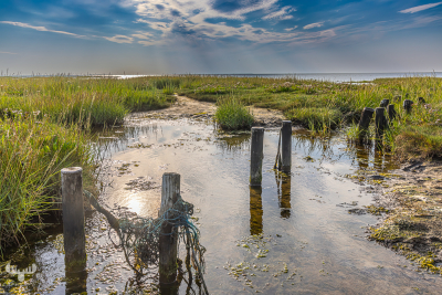 13340 - Vadehavet - Wadden Sea landscape with wooden stakes