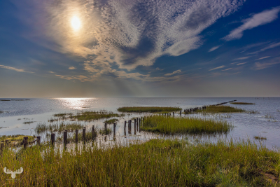13342 -  Vadehavet - Wadden Sea seascape