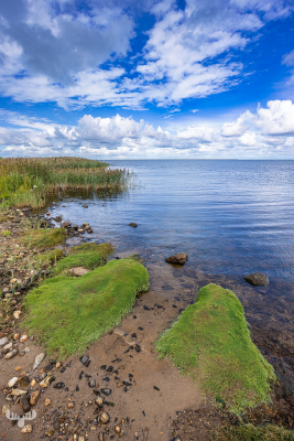 13404 - Ringkøbing Fjord Shore