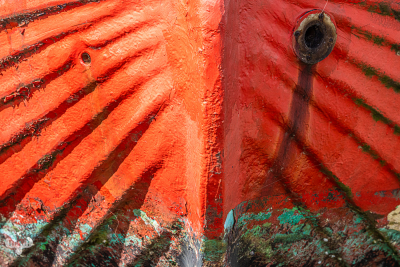 13418 - Red boat hull detail